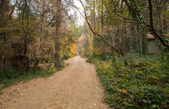 opjicurelscgoezvhrnb