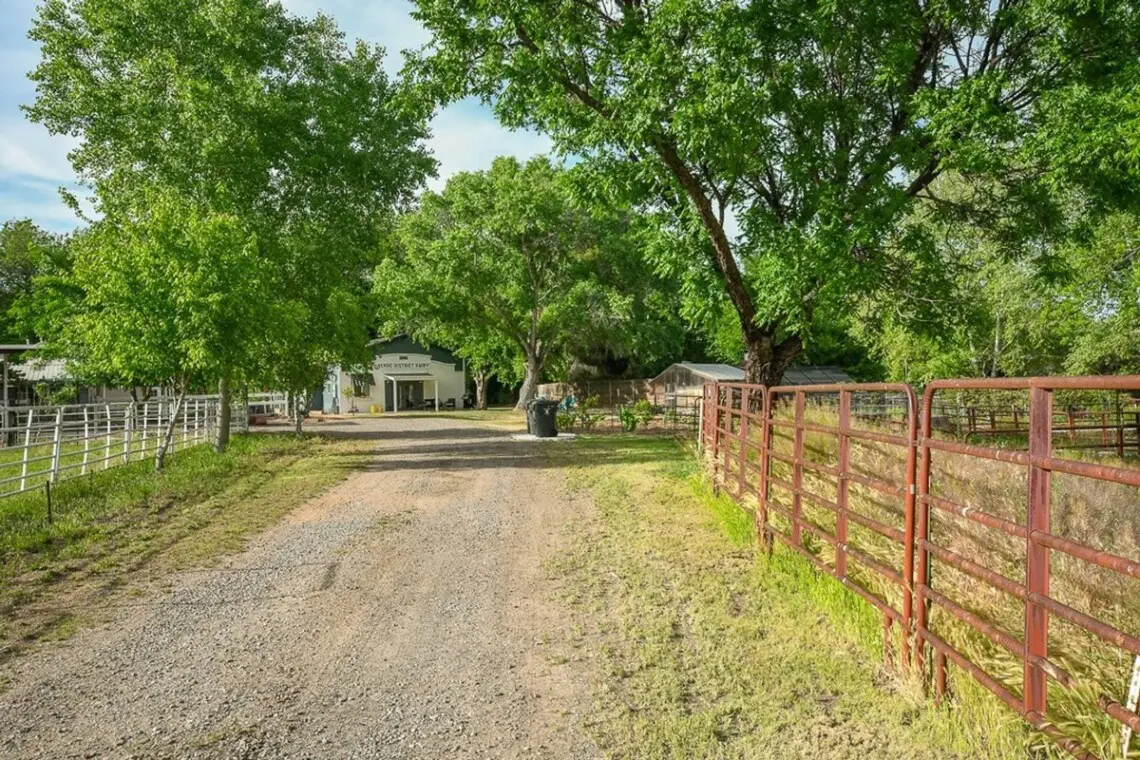 original 31919263 1290028674