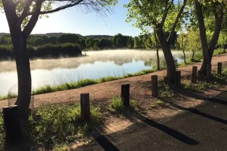 original 31919263 1290028683