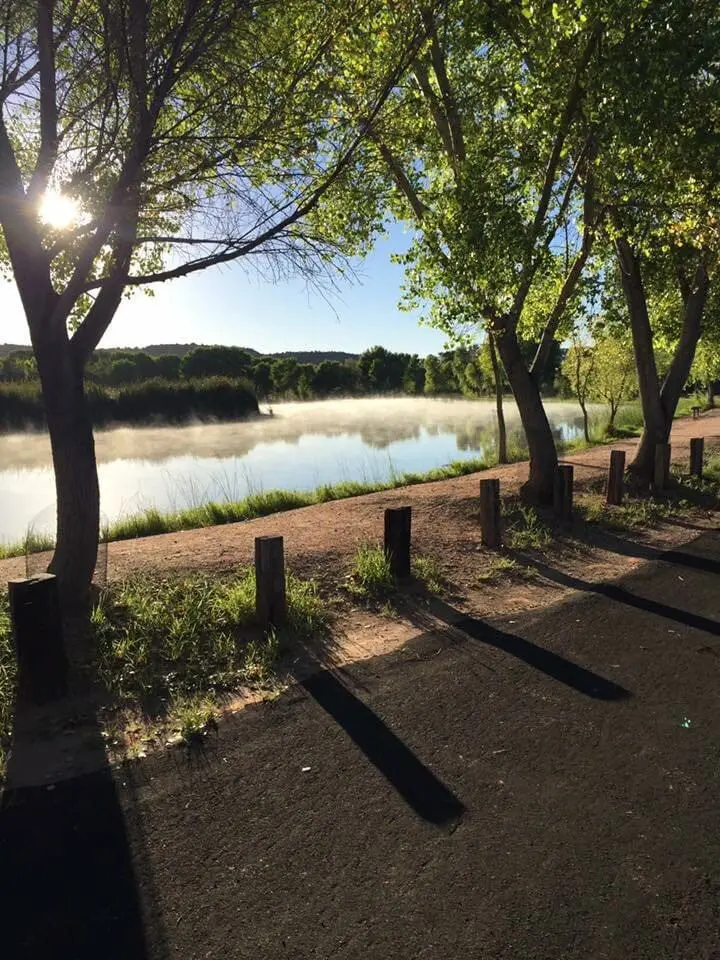 original 31919263 1290028683