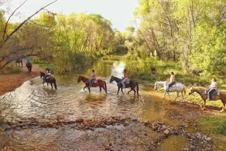 original 31919263 1290028716