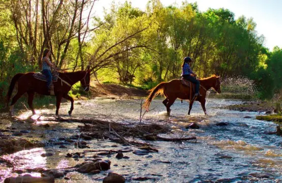 original 31919263 1290028726