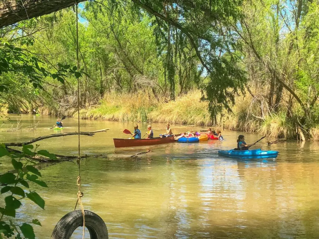 original 31919263 1290028743