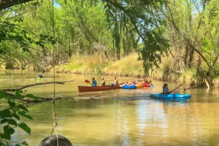 original 31919263 1290028743