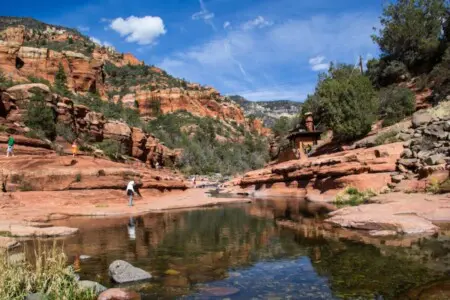 original 31919263 1290028804