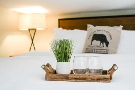 original 31919263 1568006146