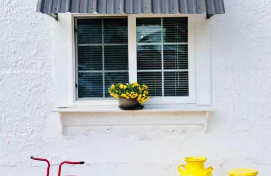 original 31919263 1714281895