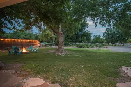 original 31919263 1714281934