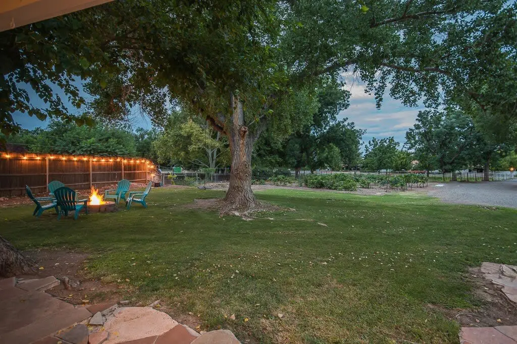 original 31919263 1714281934