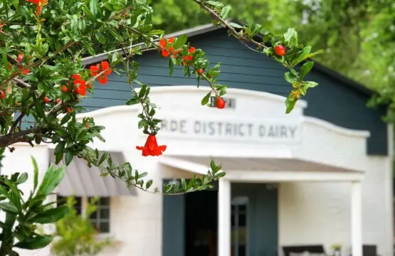 original 31919263 1715526174