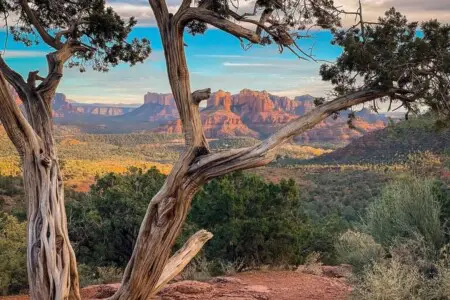 original 53921887 1569350311