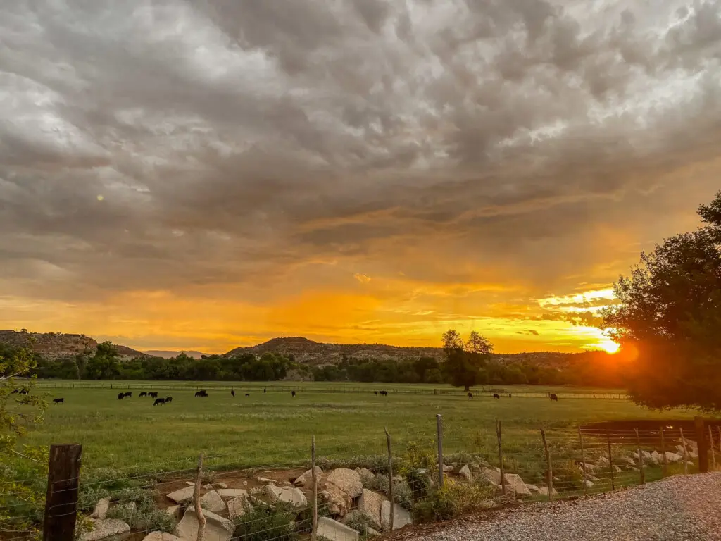 svsf4opqyxtuyqjdtwa7