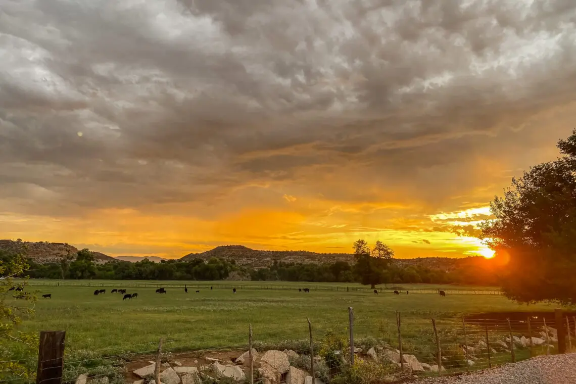 svsf4opqyxtuyqjdtwa7