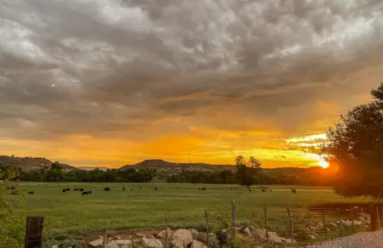 svsf4opqyxtuyqjdtwa7