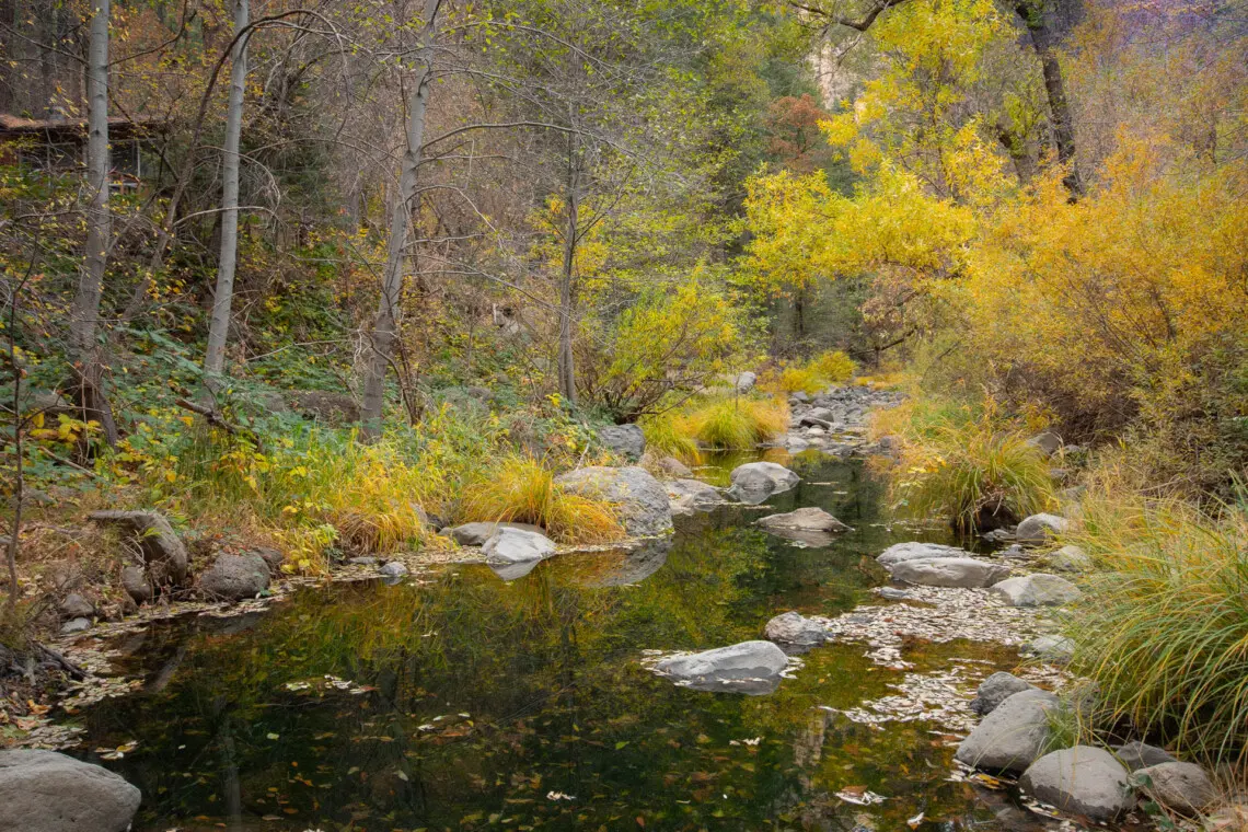 vmf2dkrn8hze49wxlefw