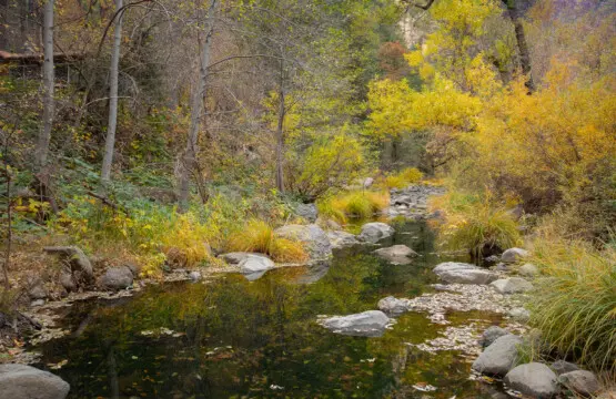 vmf2dkrn8hze49wxlefw