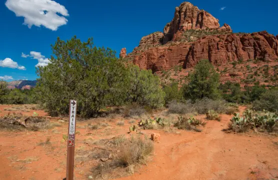 w1l0deqfjkiwf0vhwwly