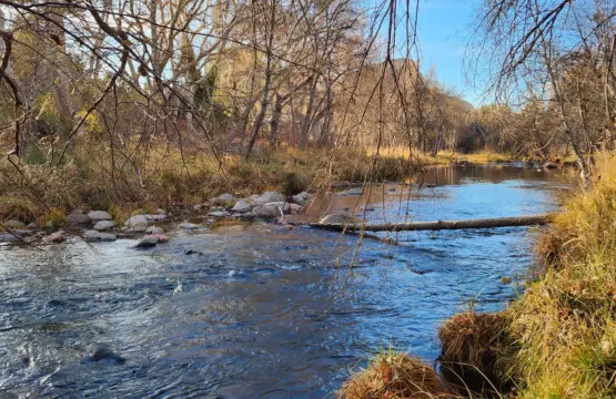 ysqz7xpzovnhl6dct69t