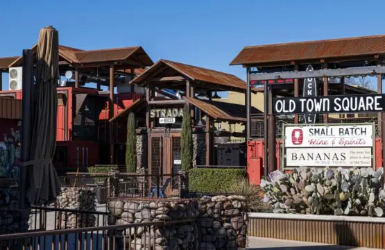 psvebiblehqrjiz92vmg