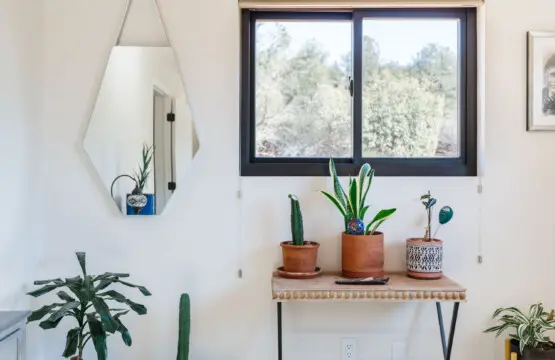 igm0rhricexmsbowq2ae